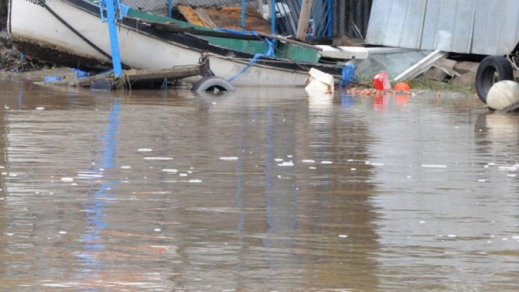 Архив: Булфото