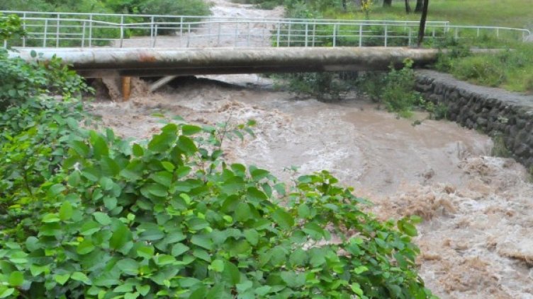 Снимка: архив Булфото