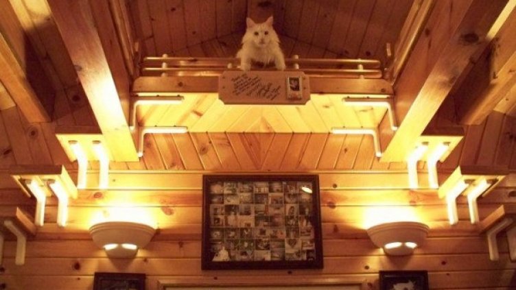 Снимка: Грег Крюгер