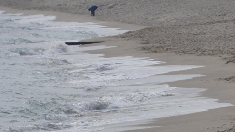 Снимка: архив Булфото