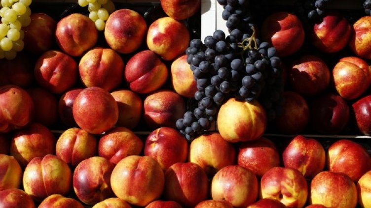 Снимка: Reuters