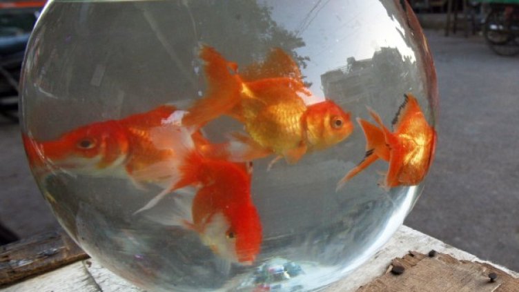 Снимка: Архив Reuters