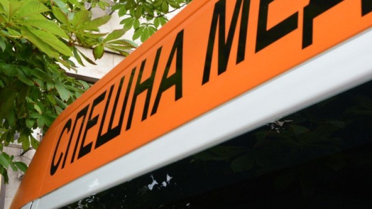 Снимка: архив Булфото