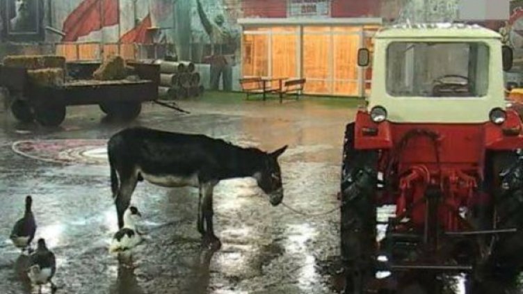 Снимка: VIP Brother