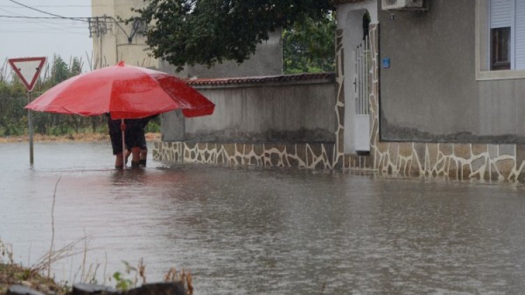 Снимка: Impact Press Group