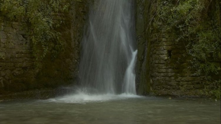 Снимка: Булфото, архив