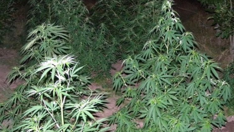 Снимка: архив, Булфото