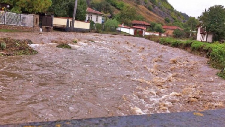 Снимка: Булфото, архив