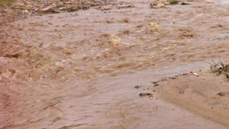 Снимка: архив, Булфото