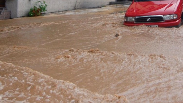 Архив: Булфото