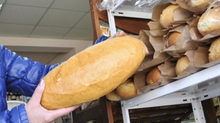 Снимка: архив, БулФото