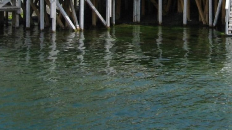 Снимка: архив, Булфото