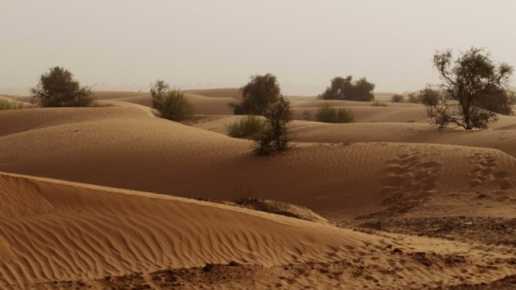 Снимка: архив, Reuters