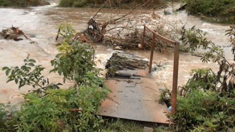 Снимка: Dnes.bg