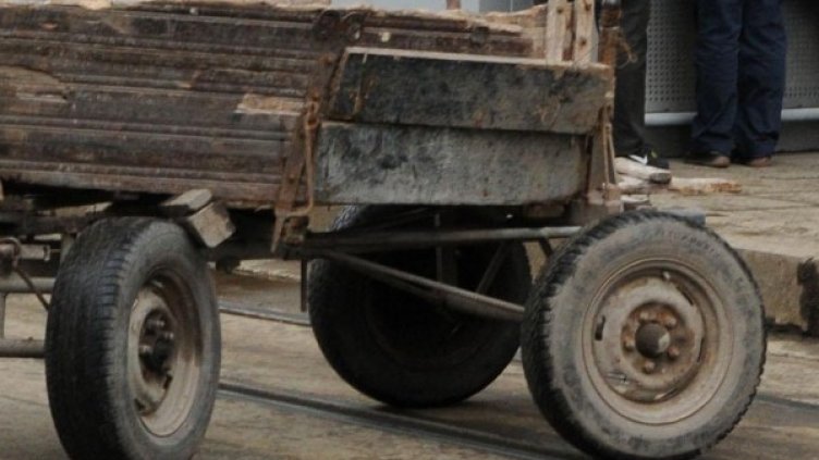 Снимка: Булфото, архив