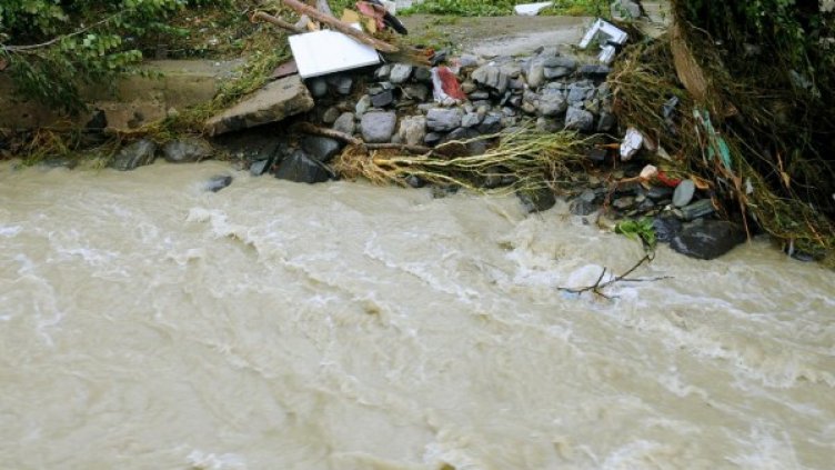 Архив: Булфото