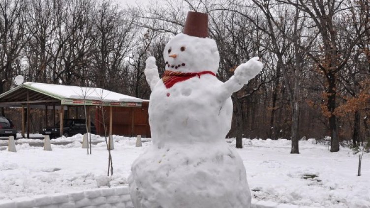 Снимка: Булфото, архив