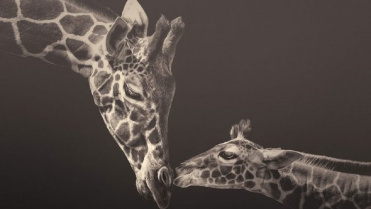 Снимка: Manuela Kulpa