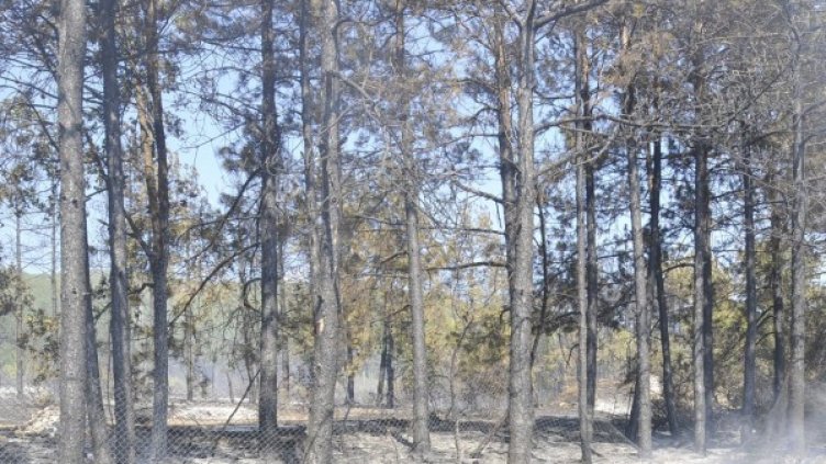 Снимка: архив, Булфото