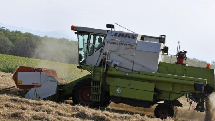 Снимка: Булфото, архив