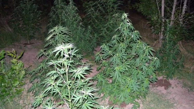 Снимка: архив, Булфото