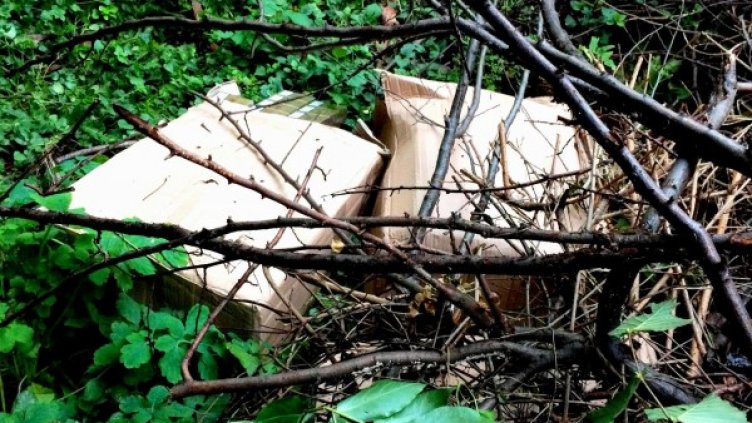 Снимка: Агенция "Митници"