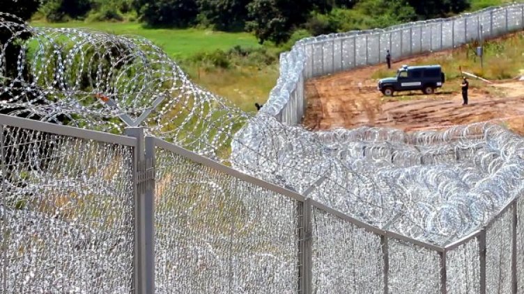 Снимка: Impact Press Group