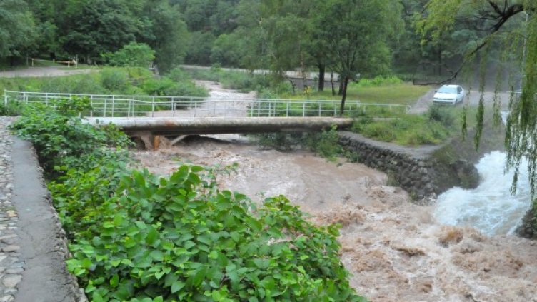 Снимка: Булфото