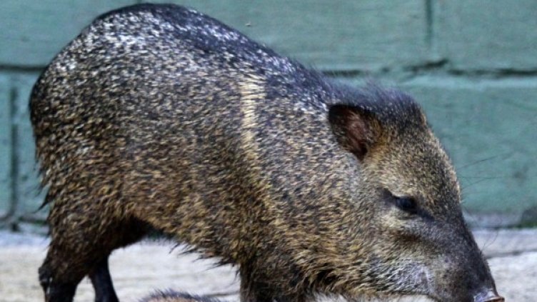 Снимка:  Reuters, архив