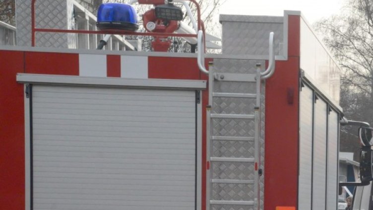 Снимка: архив, БулФото