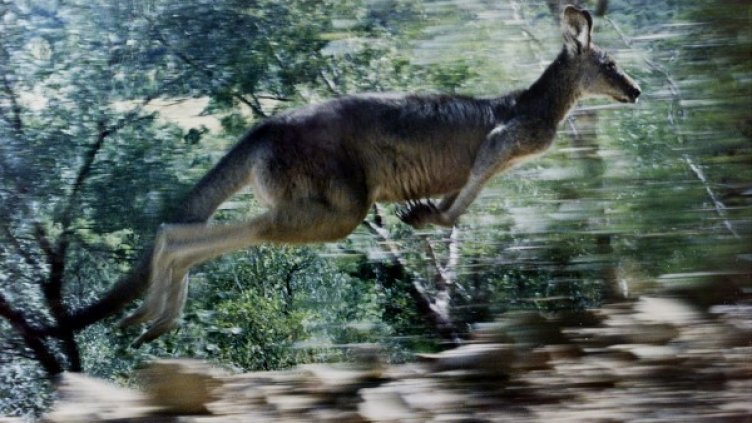 Снимка: архив Ройтерс