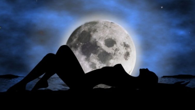 Снимка: freeimages.com