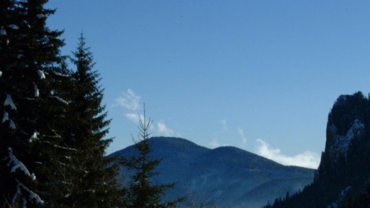 Снимка, архив Булфото