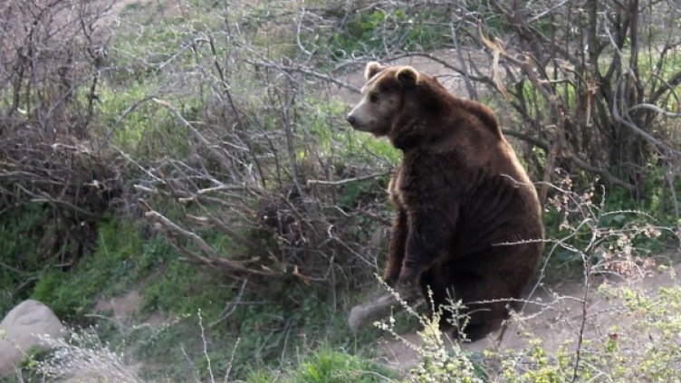 Снимка: Булфото, архив