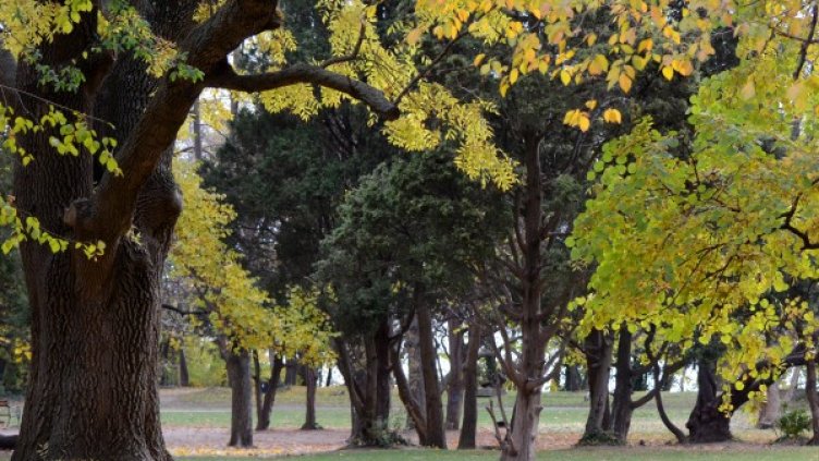 Снимка: Impact Press Group