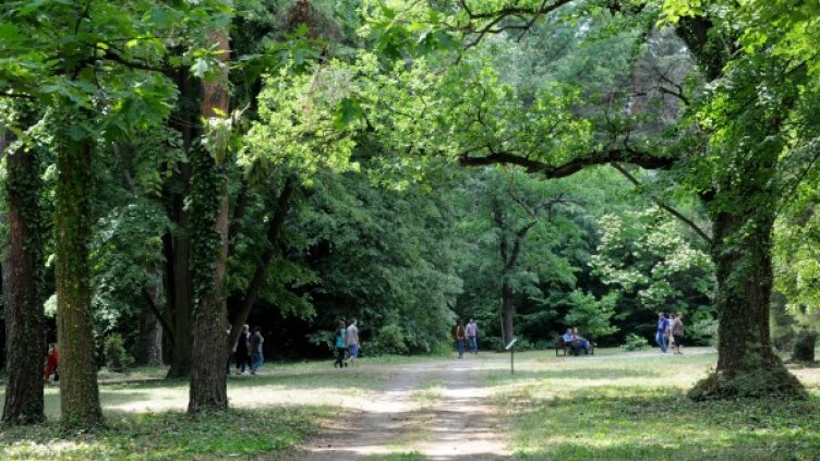 Снимка: Булфото, архив