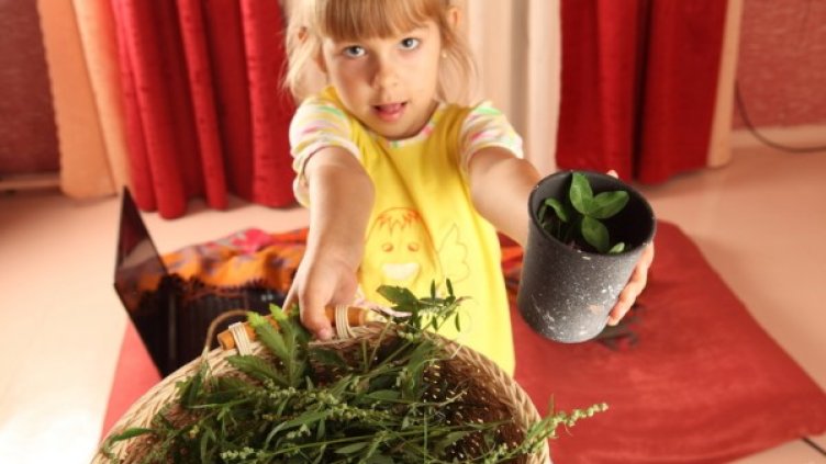 Снимка: photl.com