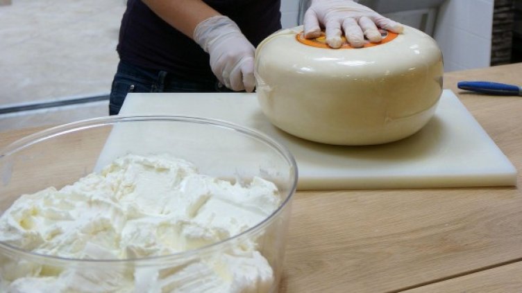 Снимка: архив Булфото