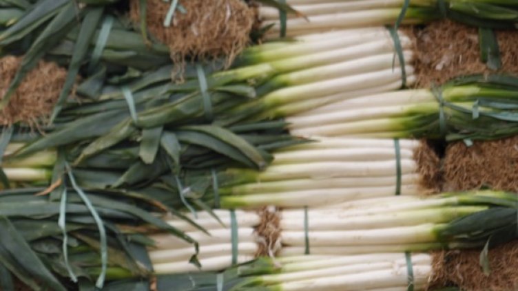 Снимка: Архив Reuters