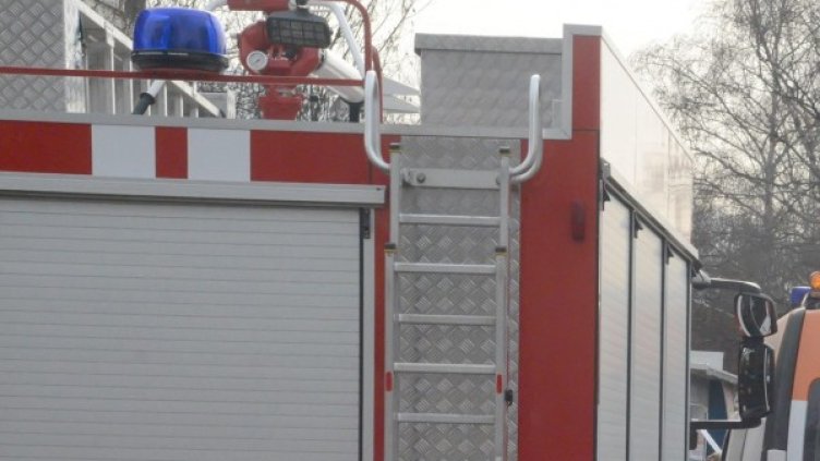 Снимка: архив, БулФото