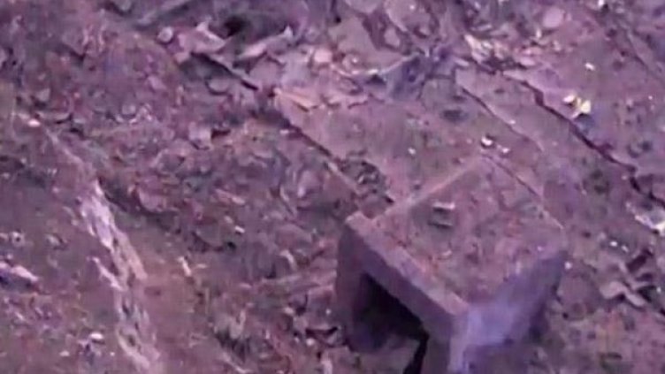 Снимка: МВР