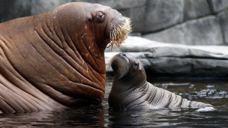 Снимка: Архив Reuters