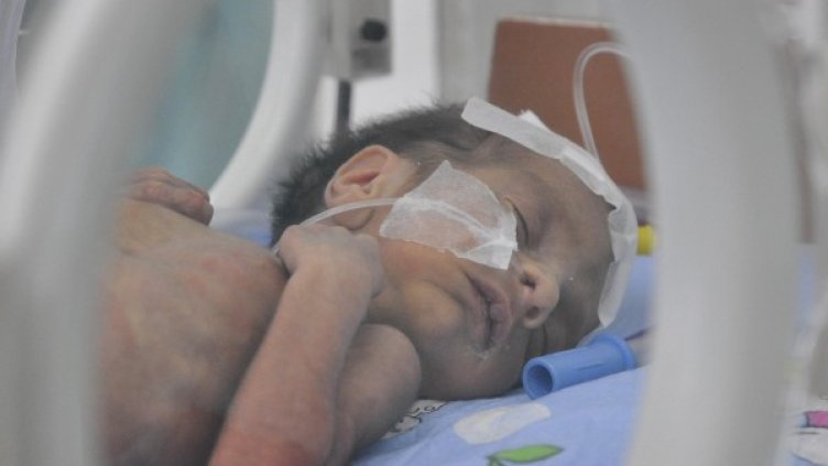 Снимка, архив Булфото