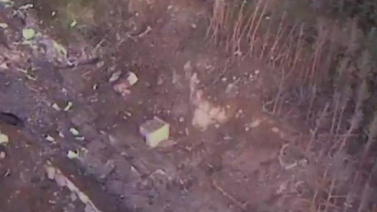 Снимка: МВР