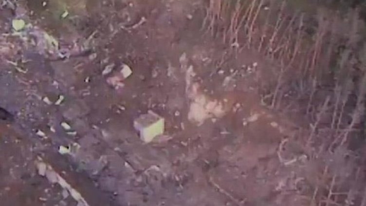 Снимка: МВР