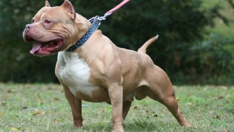 Снимка: архив