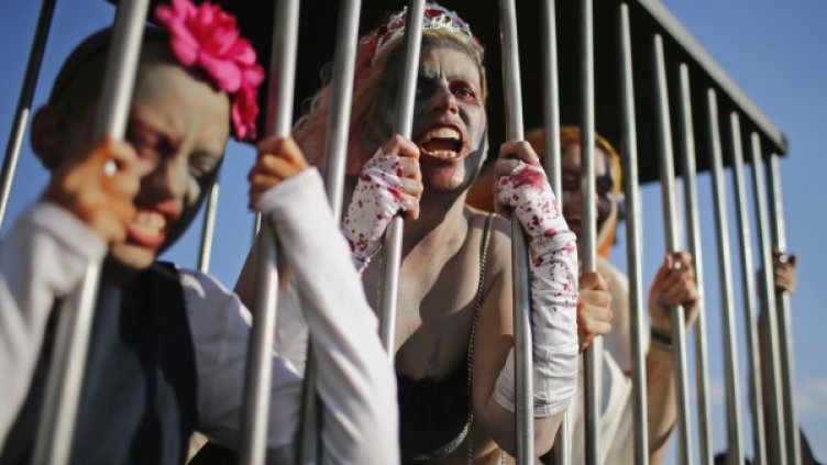 Снимка: Reuters