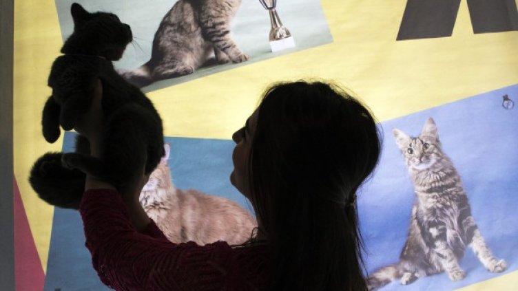 Снимка: Архив Reuters