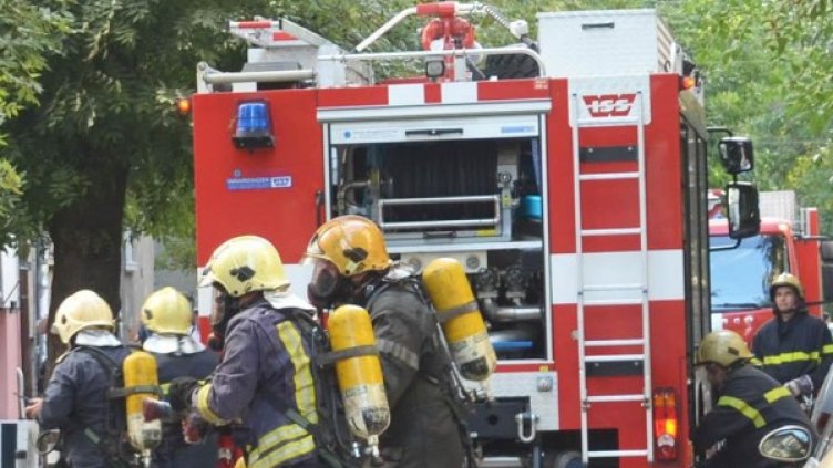 Снимка: Булфото, архив