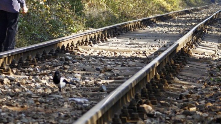 Снимка: Булфото, архив